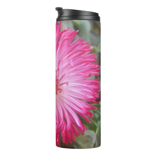 Bouteilles Isothermes Cogniet (Tourné sur la droite)