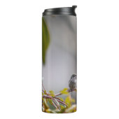 Bouteilles Isothermes Colibri 3346 (Tourné sur la gauche)