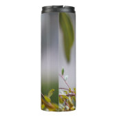 Bouteilles Isothermes Colibri 3346 (Dos)