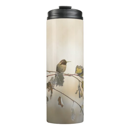 Bouteilles Isothermes Colibri 5265 (Devant)