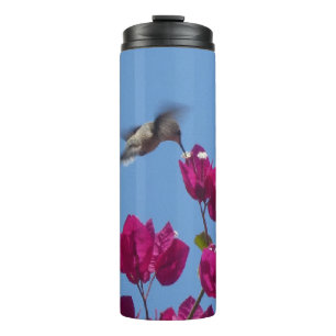 Bouteilles Isothermes Colibri du Pérou Tumbler