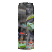 Bouteilles Isothermes Colibri en vol et fleurs rouges (Dos)