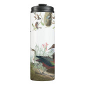 Bouteilles Isothermes Collage d'Audubon du culbuteur animal de faune (Devant)