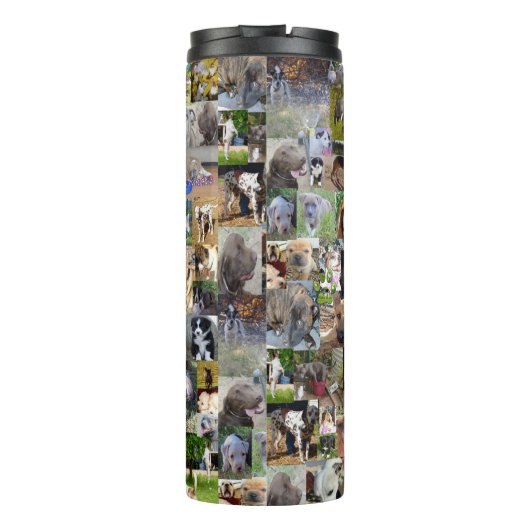 Bouteilles Isothermes Collage de photos de chiens, (Dos)
