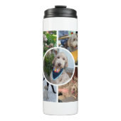 Bouteilles Isothermes Collage photo moderne (Devant)