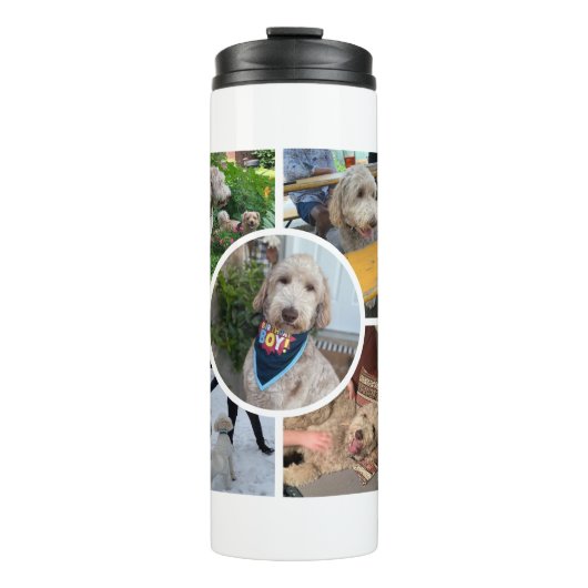 Bouteilles Isothermes Collage photo moderne (Devant)