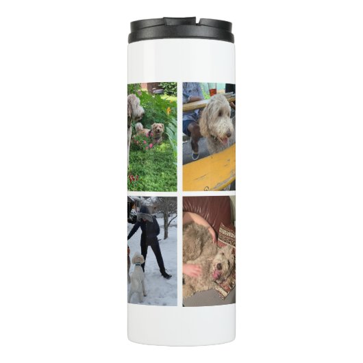 Bouteilles Isothermes Collage photo moderne (Dos)