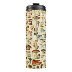Bouteilles Isothermes Collection de champignons