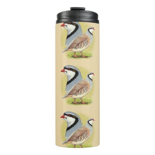 Bouteilles Isothermes Combo de perdrix de Chukar (Devant)