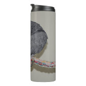 Bouteilles Isothermes Congo Afrique : La queue de perroquet gris prédit (Tourné sur la droite)