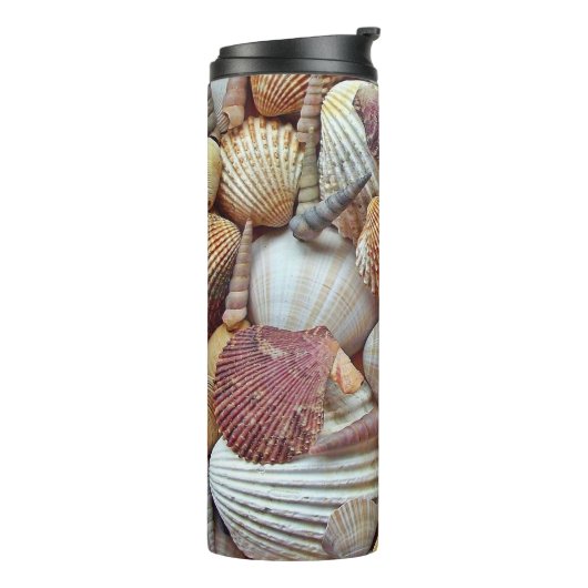 Bouteilles Isothermes Coques de mer (Tourné sur la gauche)