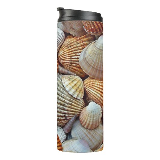 Bouteilles Isothermes Coques de mer (Tourné sur la droite)