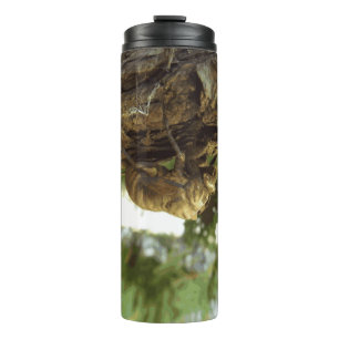 Bouteilles Isothermes Coquille de Canada. C'était pressé.