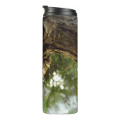 Bouteilles Isothermes Coquille de Canada. C'était pressé. (Tourné sur la droite)