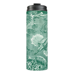 Bouteilles Isothermes Coquilles et poissons téléostéens vintage par Erns