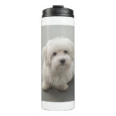 Bouteilles Isothermes Coton de Tulear Puppy de Maisie (Devant)