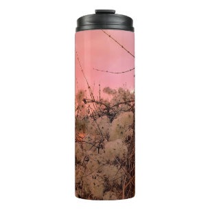 Bouteilles Isothermes Coucher Thermique Coucher De Soleil D'Hiver Et Vin