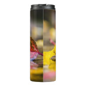 Bouteilles Isothermes Couleurs d'automne (Dos)