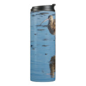 Bouteilles Isothermes Courlis à long bec (Tourné sur la gauche)