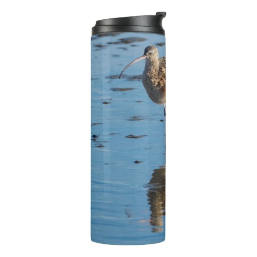 Bouteilles Isothermes Courlis à long bec (Tourné sur la gauche)