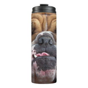 Bouteilles Isothermes Coussin de jet de Bouledogue Anglais