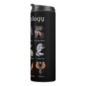 Bouteilles Isothermes Cryptozoologie Cryptid Créatures (Tourné sur la droite)