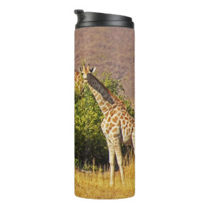 Bouteilles Isothermes Culbuteur de courant ascendant des girafes 1B