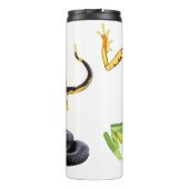 Bouteilles Isothermes Culbuteur de galerie d'Amphibiaweb (Dos)