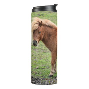 Bouteilles Isothermes Culbuteur de poney