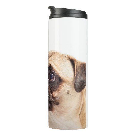 Bouteilles Isothermes Culbuteur fait sur commande des textes de carlin (Tourné sur la droite)