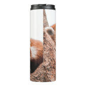 BOUTEILLES ISOTHERMES CUTE KOALA BEAR FAMILLE (Dos)