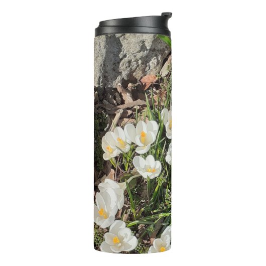 Bouteilles Isothermes Daffodiles & Crocus (Tourné sur la gauche)