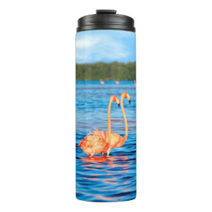 Bouteilles Isothermes Des hordes de beaux flamants roses dans les Celest