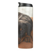 Bouteilles Isothermes doberman-pinscher-chiot (Tourné sur la droite)