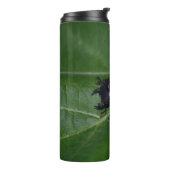 Bouteilles Isothermes Dorcus parallelipipedus, le moindre dendroctone du (Tourné sur la gauche)