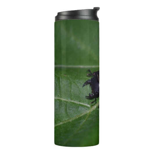 Bouteilles Isothermes Dorcus parallelipipedus, le moindre dendroctone du (Tourné sur la gauche)