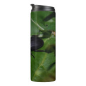 Bouteilles Isothermes Dorcus parallelipipedus, le moindre dendroctone du (Tourné sur la droite)