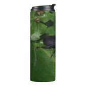 Bouteilles Isothermes Dorcus parallelipipedus, le moindre dendroctone du (Tourné sur la gauche)