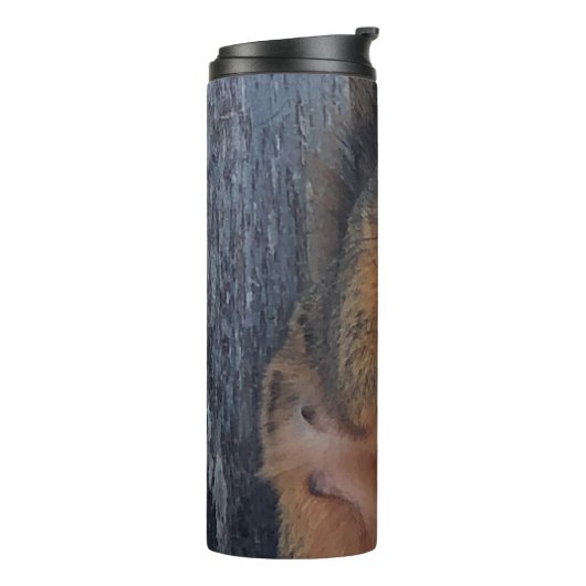 Bouteilles Isothermes Écureuil (Tourné sur la gauche)