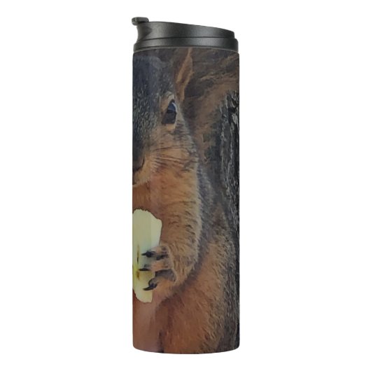 Bouteilles Isothermes Écureuil (Tourné sur la droite)