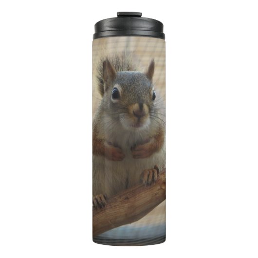 Bouteilles Isothermes Écureuil mûr à la branche (Devant)