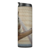 Bouteilles Isothermes Écureuil mûr à la branche (Tourné sur la droite)