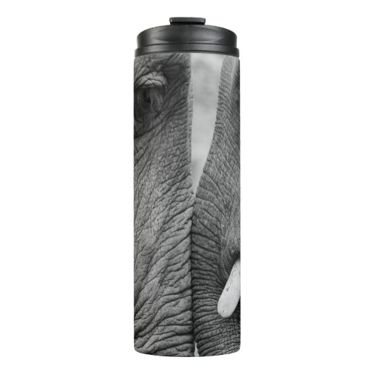BOUTEILLES ISOTHERMES ELEPHANT COUPLE (Devant)