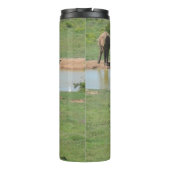 Bouteilles Isothermes Eléphants et zèbres africains Tumbler (Dos)