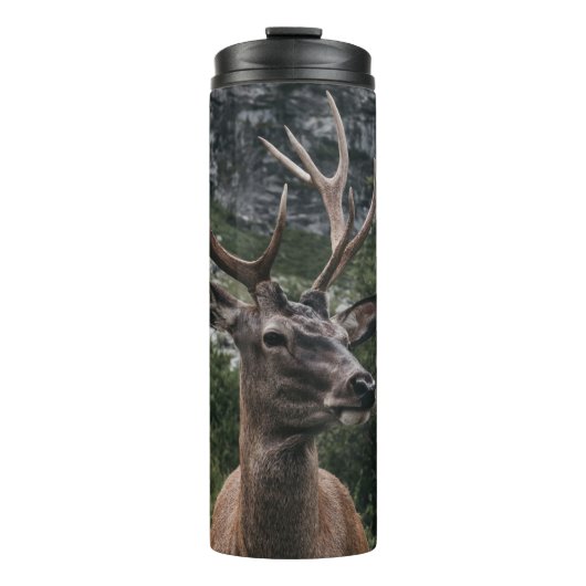 BOUTEILLES ISOTHERMES ELK STACK DEER (Devant)