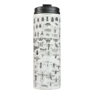 Bouteilles Isothermes Entomologie d'une histoire de la terre et animer