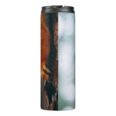 BOUTEILLES ISOTHERMES ESCALIER SUR TRONC D'ARBRE (Dos)