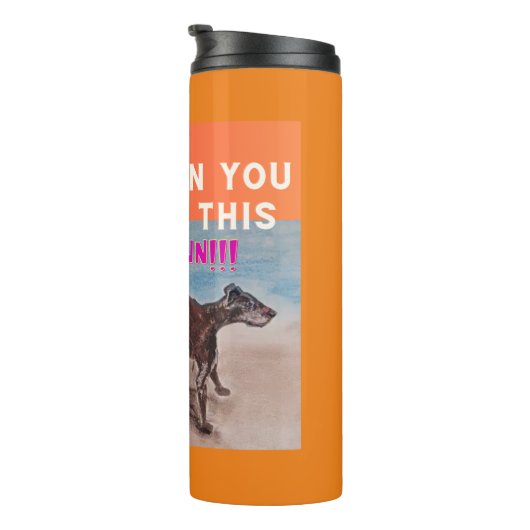 BOUTEILLES ISOTHERMES EXÉCUTER (Tourné sur la droite)