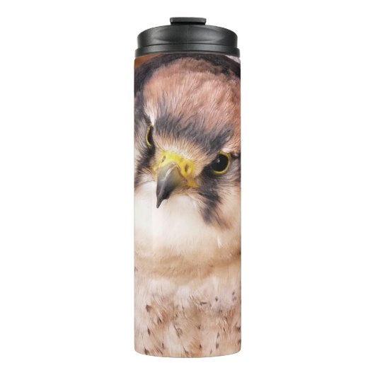 BOUTEILLES ISOTHERMES FALCON (Devant)