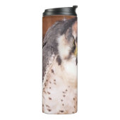 BOUTEILLES ISOTHERMES FALCON (Tourné sur la gauche)